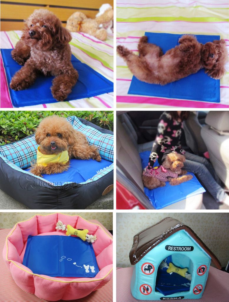 NEW COOL DOG Canine Pet Bed Cooler Mat Pad