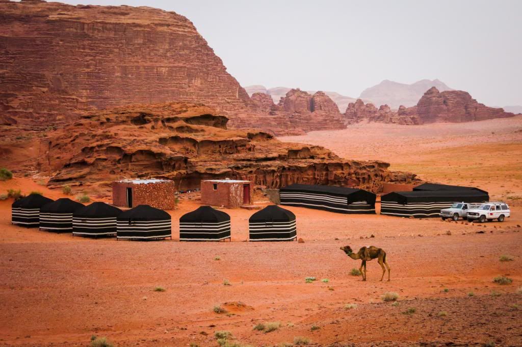Jordania  de Sur a Norte. - Blogs de Jordania - Día 4. Wadi Rum (1)