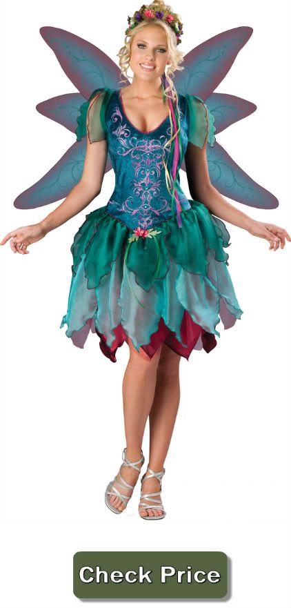 Fairy Costumes For Adults - Where To Buy Costume