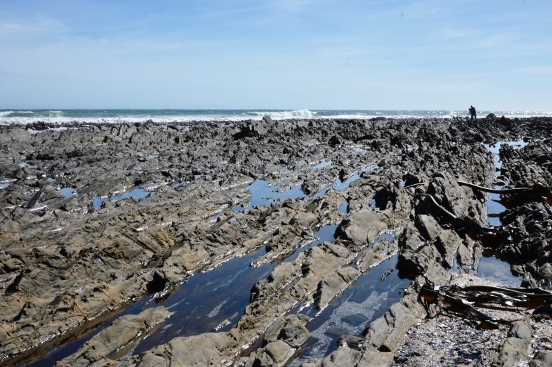 DSC_0167_zpsvtzl99v6.jpg