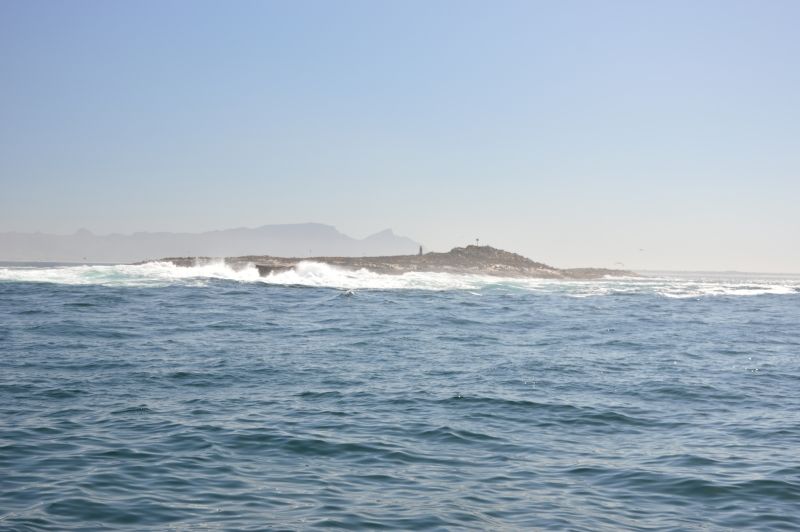 DSC_0234_zpsssjmrazk.jpg