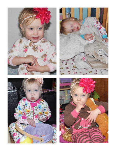 photo 40912150b.png
