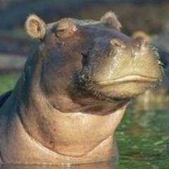 9B64C0E1-3EBC-46CC-8A5A-8ED03E3107EC_zps