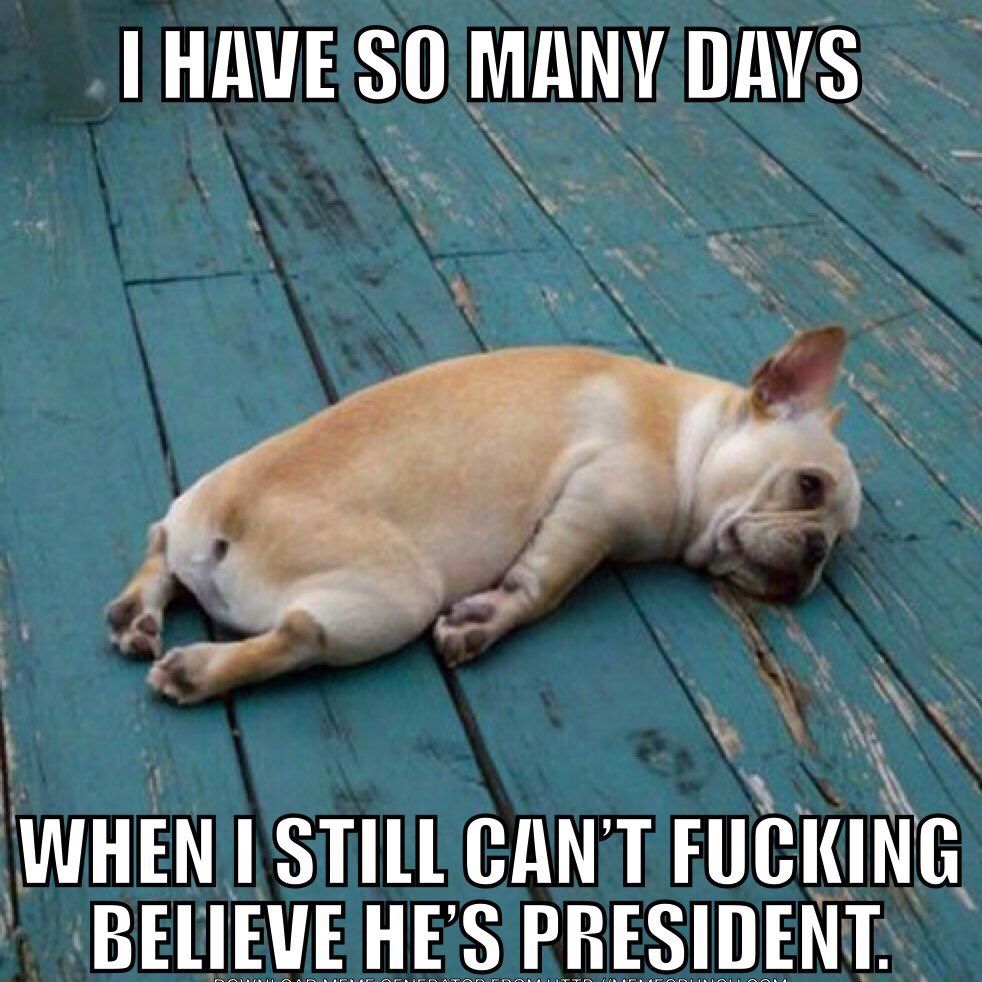 9F44C29A-6B9F-44ED-94D6-73742D280787_zps