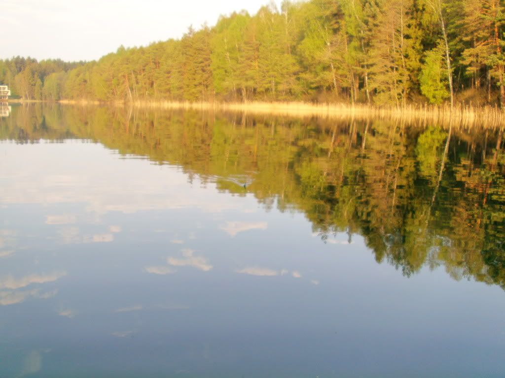 Paveikslėlis