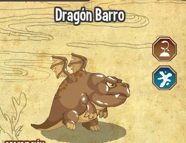 dragon city dragon city