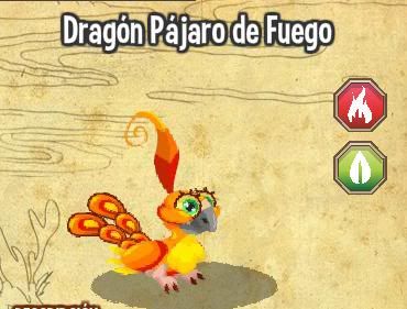 dragon city dragon city