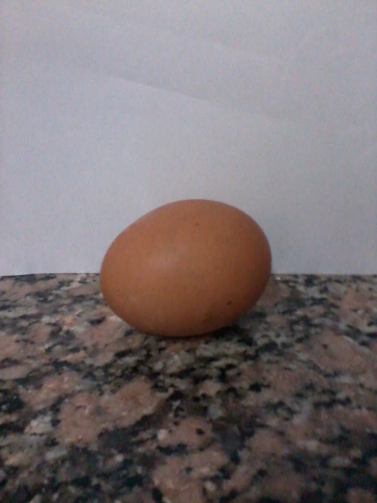 receta receta