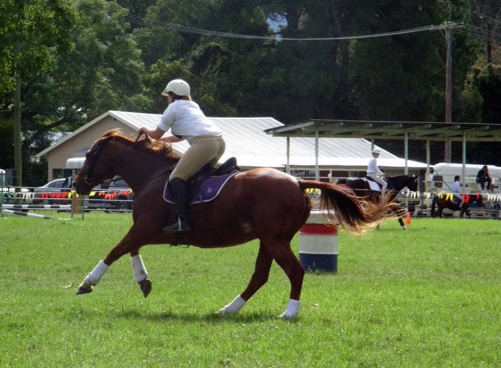 Local Gymkhana :) | The Horse Forum