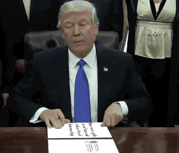 IMG_0736_zpscgicoztl.gif