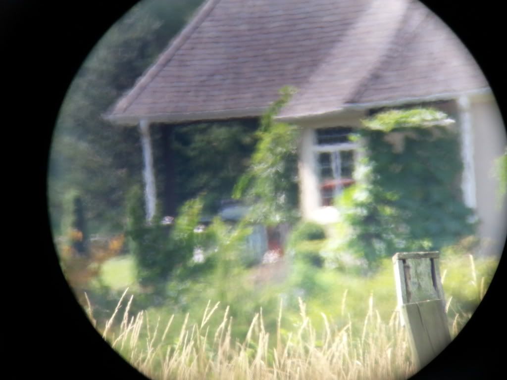 20130726_111906_zps798c26bd.jpg