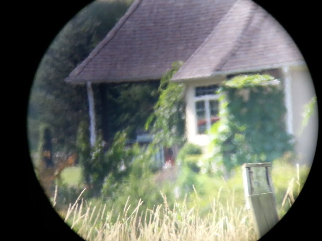 20130726_111917_zps30f61b8a.jpg