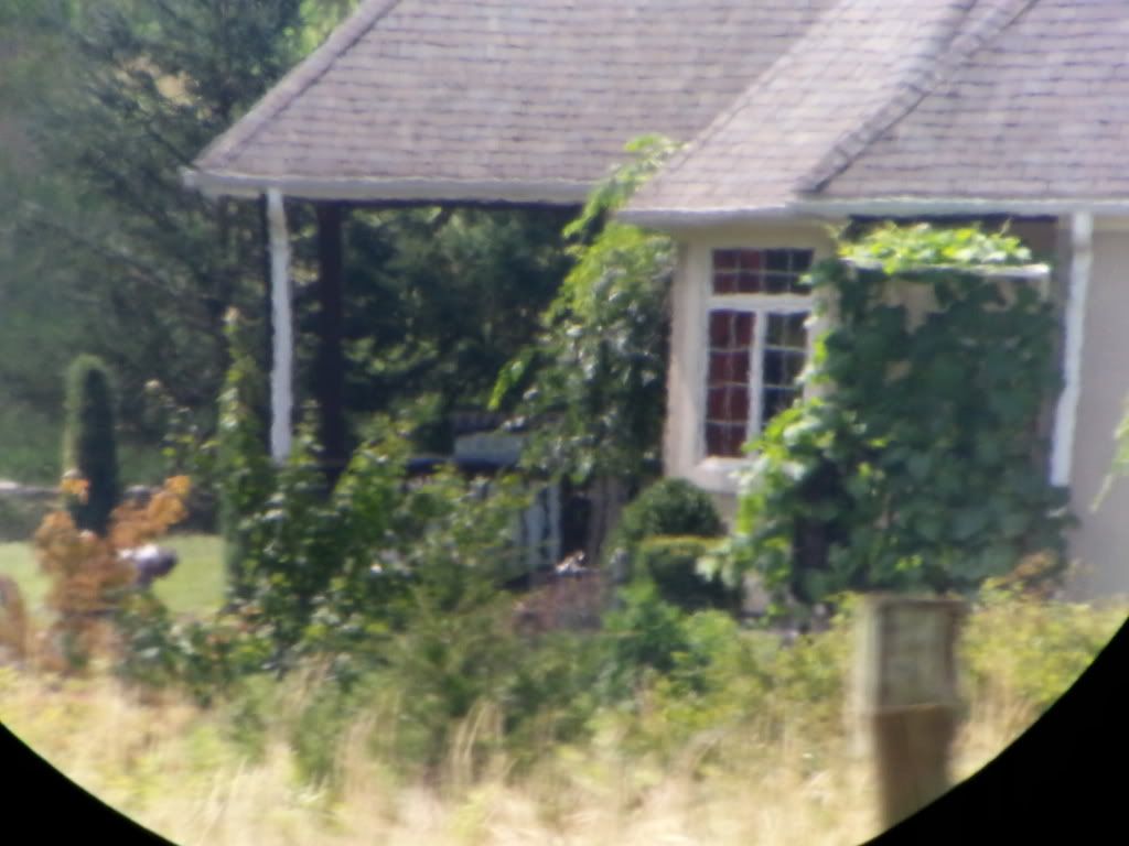20130726_1140520_zps998508da.jpg