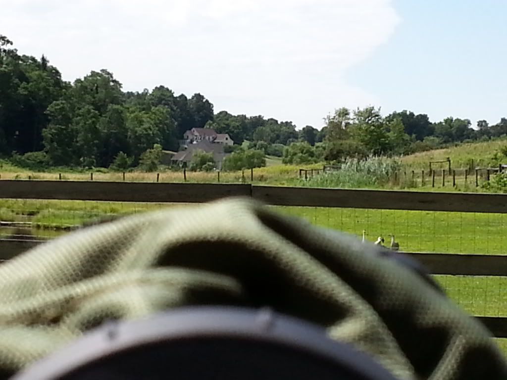 20130726_114210_zps58cf7de0.jpg