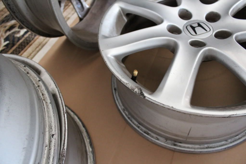 Honda Center Caps Acura TSX Forum