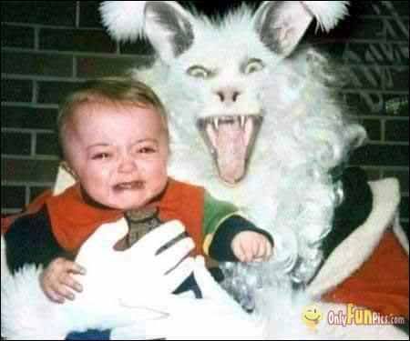 easter bunny Pictures, Images and Photos