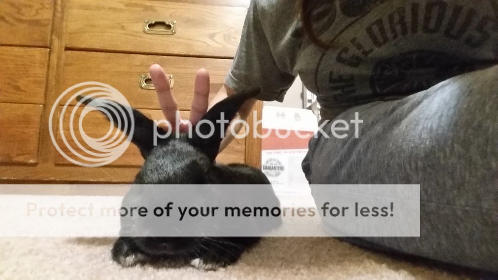  photo 20150526_235440_zps6w3h4dzr.jpg