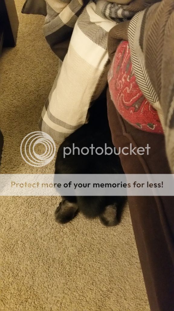  photo 2016-10-18_01-51-35_zpsvw7lcdvu.jpg