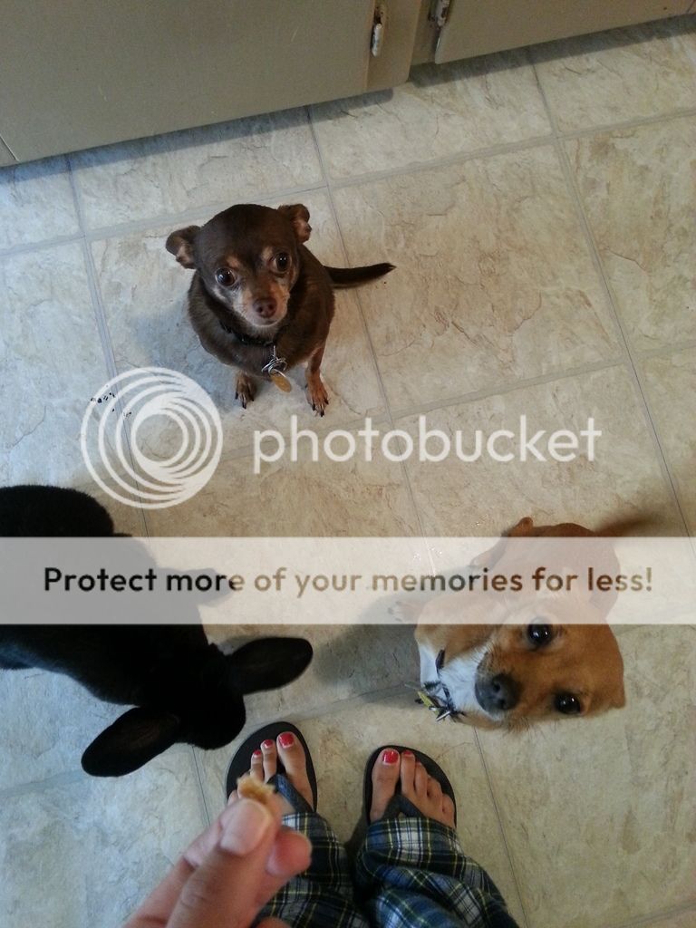  photo 2016-10-23_06-50-21_zpsnyexxkcz.jpg