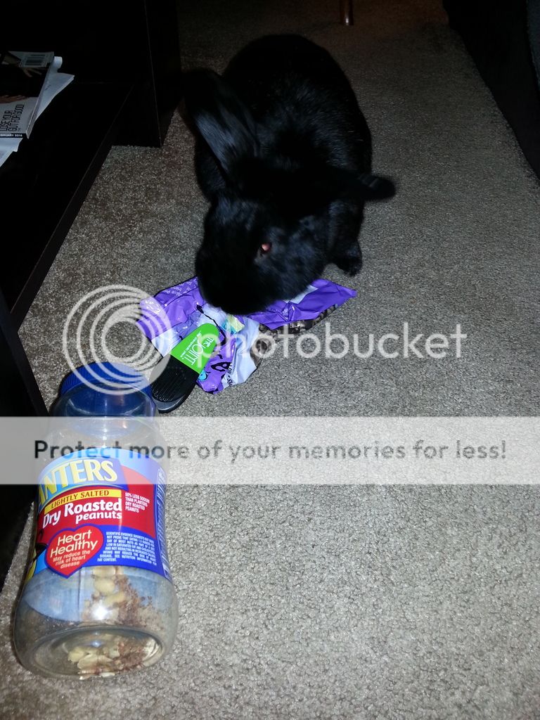  photo 2016-10-23_06-51-08_zpsqcxrnbtw.jpg