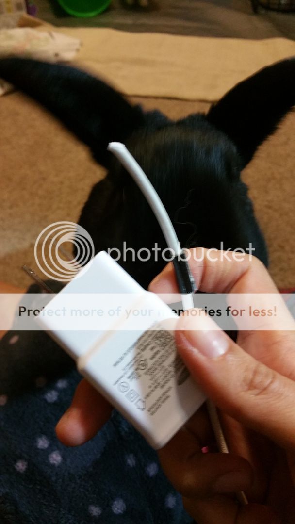  photo 20160220_223910_zpsh18yot2x.jpg