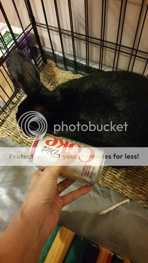  photo 20160325_025057_002_zpsj1b4wvrl.jpg