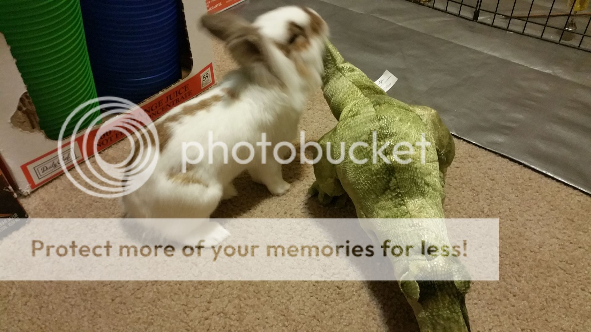  photo 20160325_031439_zpss7zxmuvr.jpg