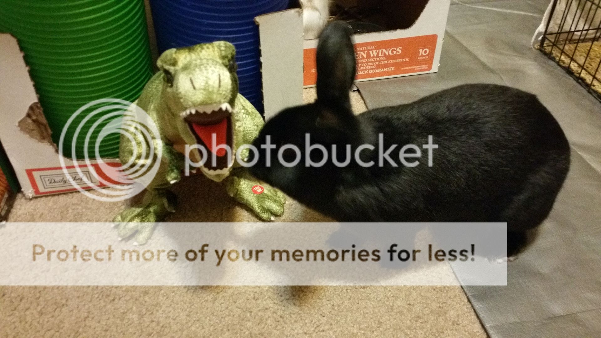  photo 20160325_031757_zpsbvvzr7ym.jpg