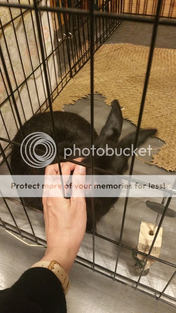  photo 20170115_173859_zpsxlicghj0.jpg