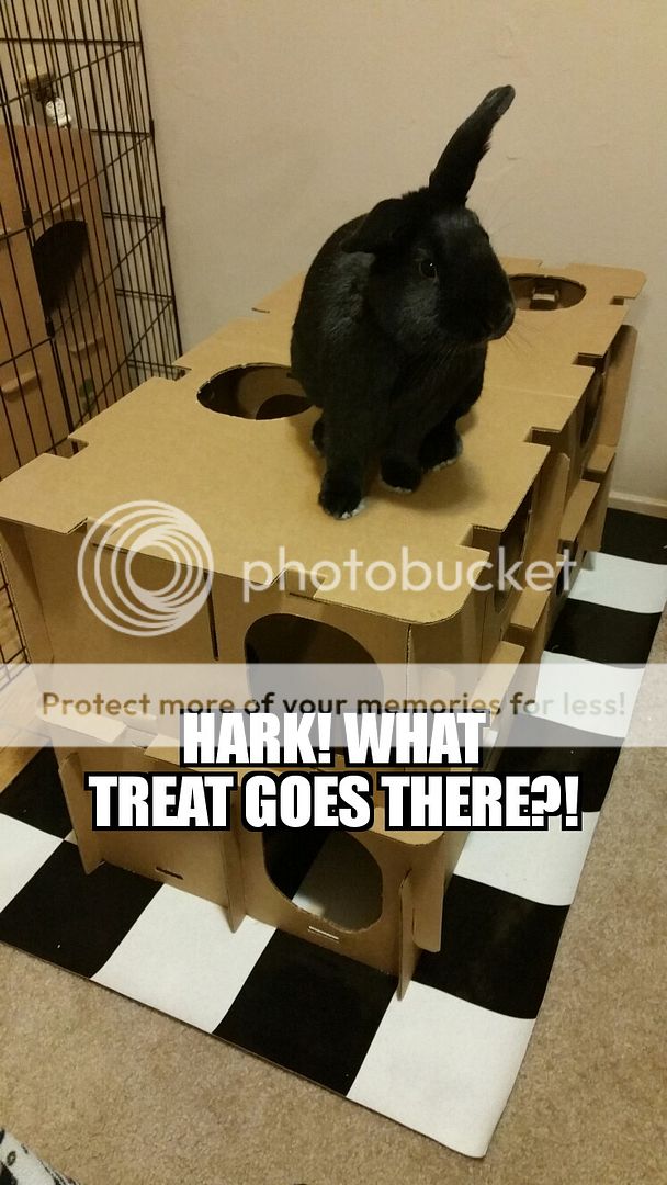  photo ZomboMeme25092016003027 25092016003027_zpsps1nzwyt.jpg