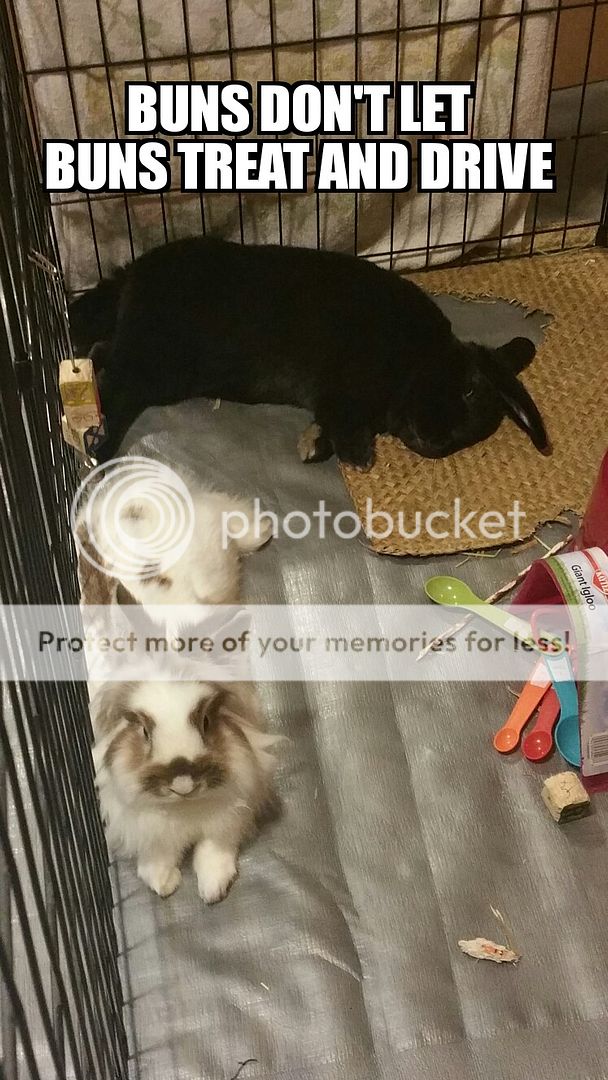  photo ZomboMeme25092016004008 25092016004008_zpswfce3qab.jpg