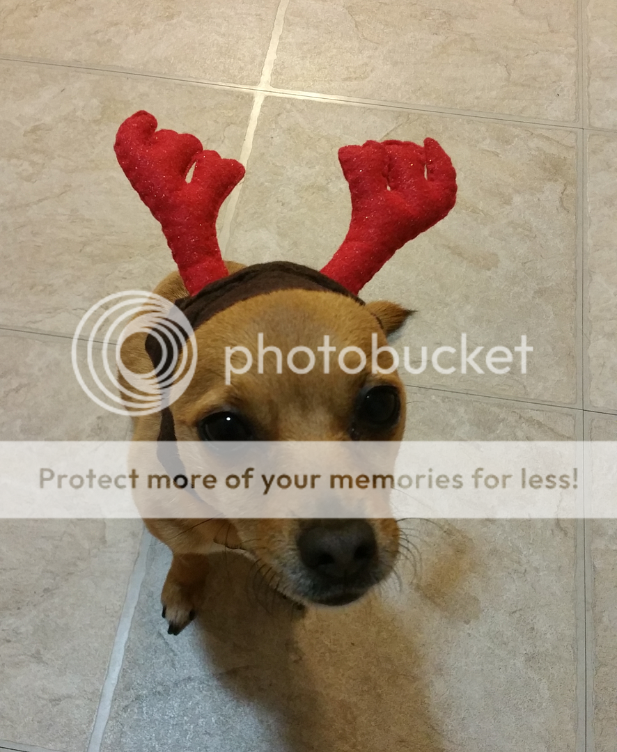  photo Screenshot_SmartSelect_2016-09-13-13-36-36_zpseh4snlcc.png