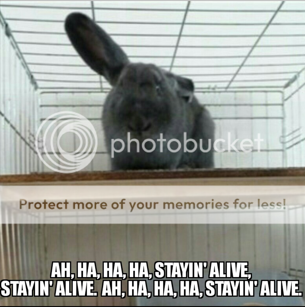  photo Screenshot_SmartSelect_2016-09-14-01-07-13_zpsbuureuxw.png