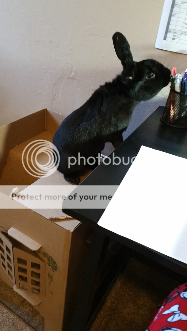  photo Screenshot_SmartSelect_2016-09-14-11-52-01_zpshp3k873h.png