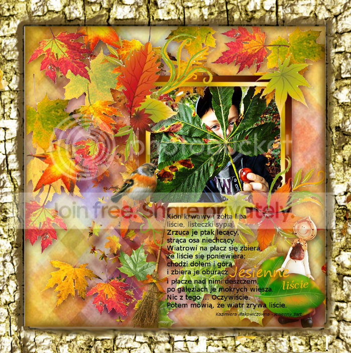 https://i1070.photobucket.com/albums/u484/bogatka1/253_Leaf_zpsyx2ch27a.png