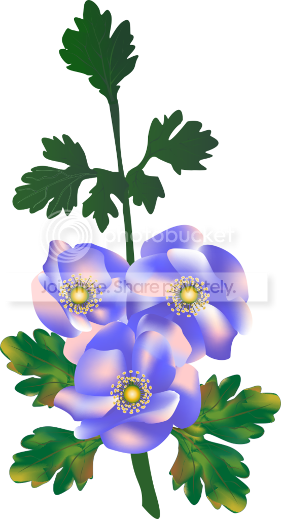 https://i1070.photobucket.com/albums/u484/bogatka1/Anemon_zpsarcglb72.png