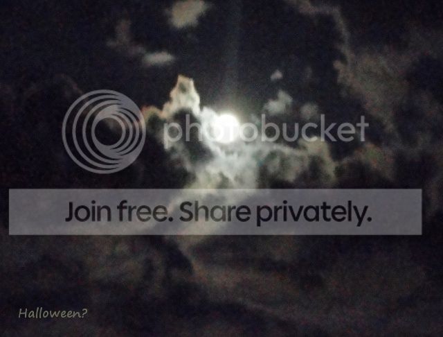 https://i1070.photobucket.com/albums/u484/bogatka1/DSC02552_kadr.jpg