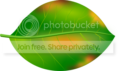 https://i1070.photobucket.com/albums/u484/bogatka1/Fall-Leaf-ustaw_zpscwzfoke5.png