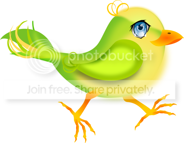 https://i1070.photobucket.com/albums/u484/bogatka1/Green-Bird_zpsj9c7lbcj.png