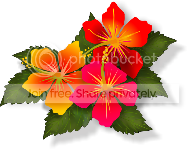 https://i1070.photobucket.com/albums/u484/bogatka1/HibiskusTuto_zpscc47c295.png