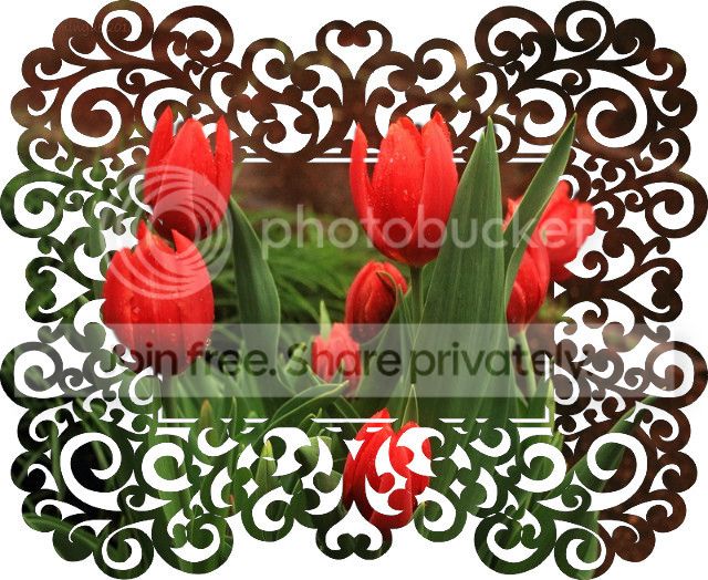 https://i1070.photobucket.com/albums/u484/bogatka1/LeoSpring-mask_zpsv6yjtw6k.jpg