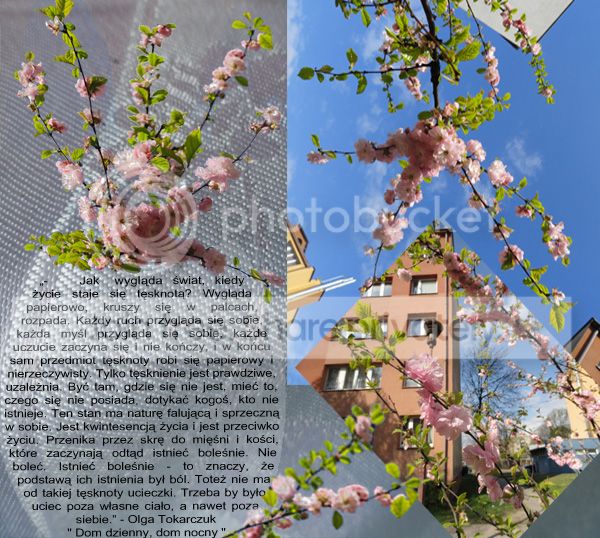 https://i1070.photobucket.com/albums/u484/bogatka1/Pszczyna_zpsfcb61d92.jpg
