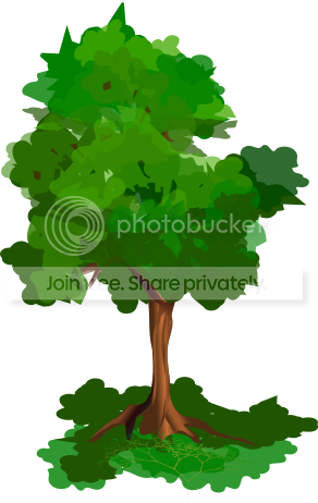 https://i1070.photobucket.com/albums/u484/bogatka1/Tree20915_zpsyiwfahzk.png