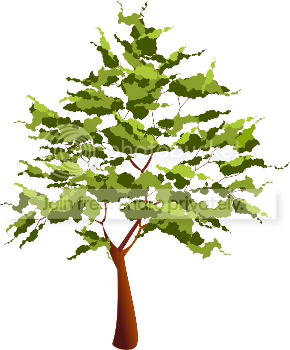 https://i1070.photobucket.com/albums/u484/bogatka1/Tree_zpsywhk9dr0.png