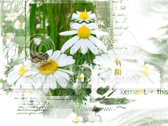 https://i1070.photobucket.com/albums/u484/bogatka1/bee_makx2_zps7f23af85.jpg