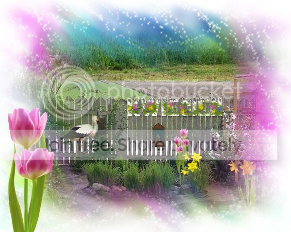 https://i1070.photobucket.com/albums/u484/bogatka1/bocian-wiosna_zps9a3db8ee.jpg