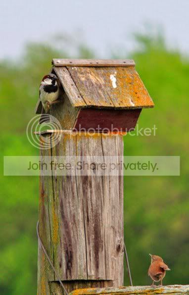 https://i1070.photobucket.com/albums/u484/bogatka1/domekbogatki.jpg