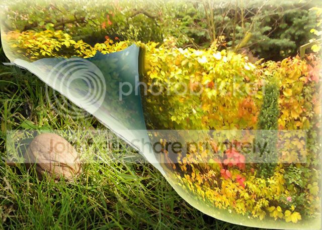 https://i1070.photobucket.com/albums/u484/bogatka1/zawijanie.jpg